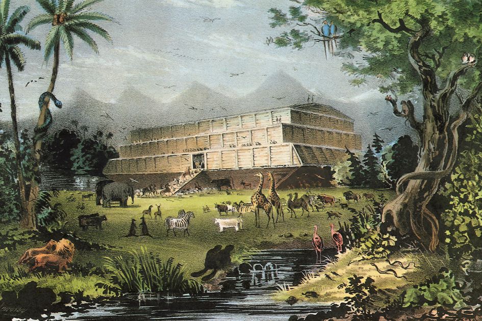 More evidence for Noah's Ark found in Turkey