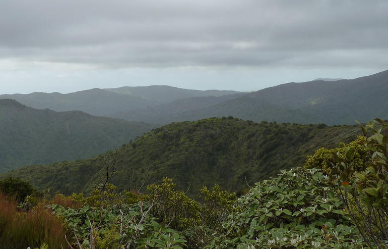 Wikimedia Commons