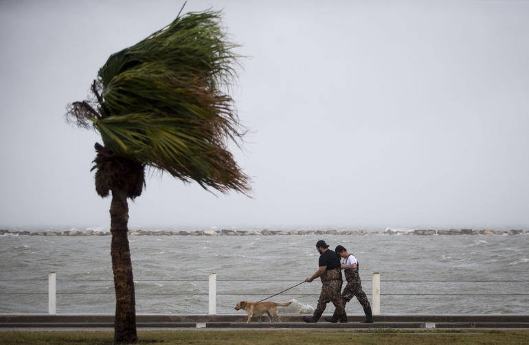 Nick Wagner/Austin American-Statesman via AP