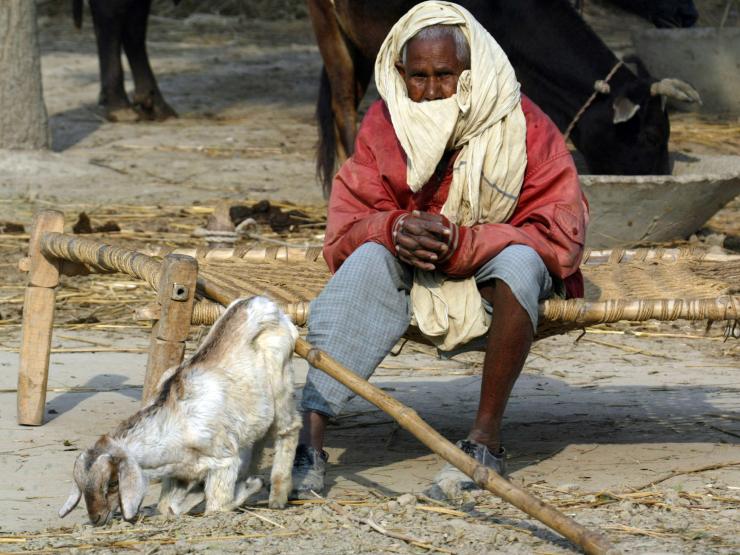 Dalit.JPG