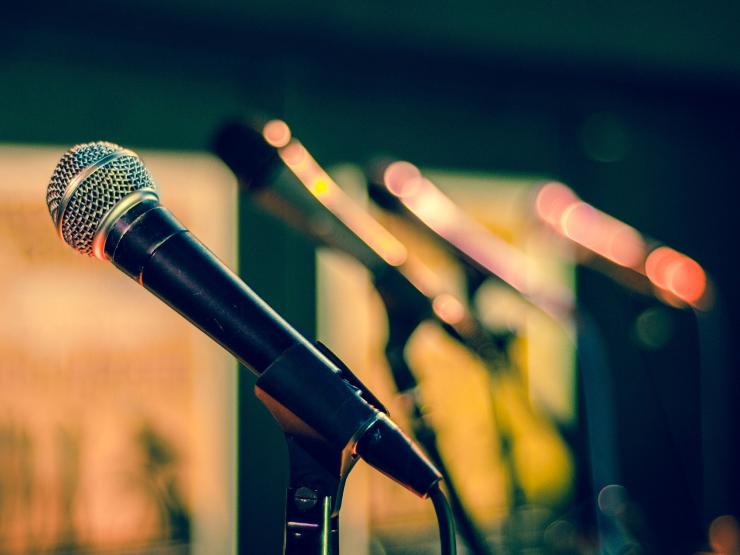 microphone singing Rudy and Peter Skitterians from Pixabay.jpg
