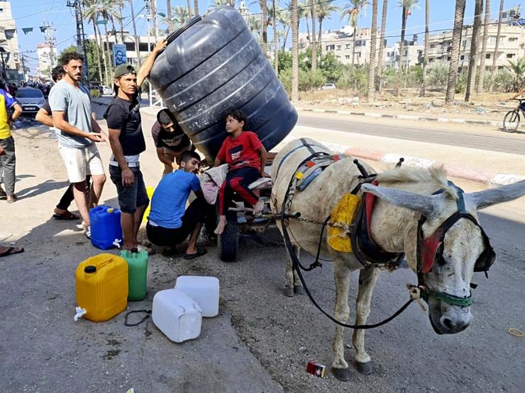 Gaza pic.JPG