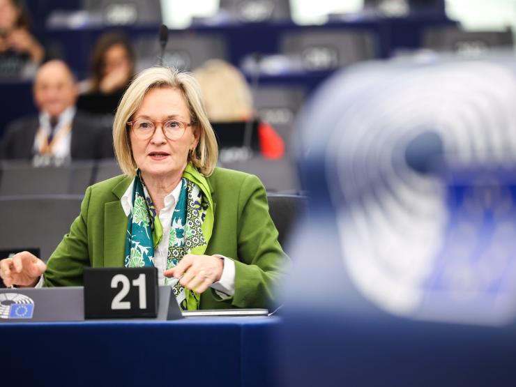 Mairead McGuinness (2).JPG