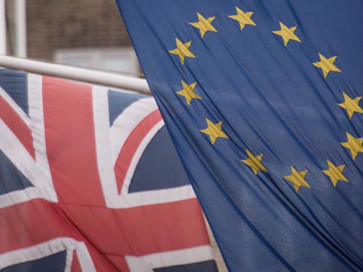 Brexit flags.jpg