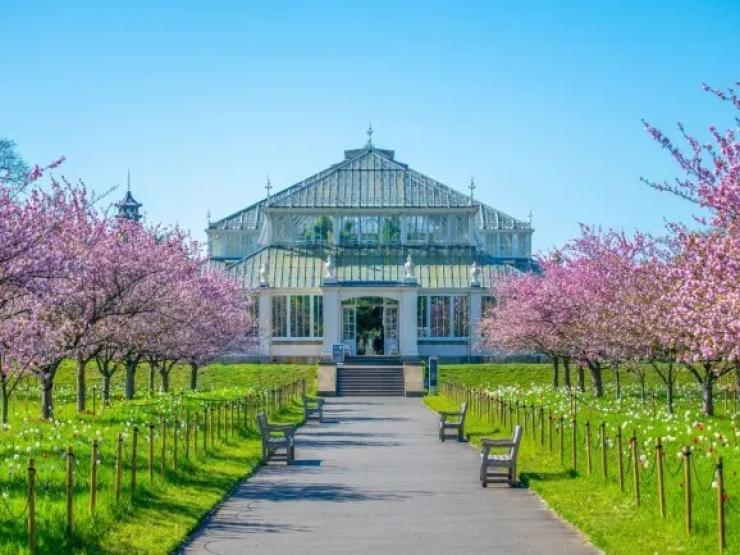 Kew Gardens.jpeg