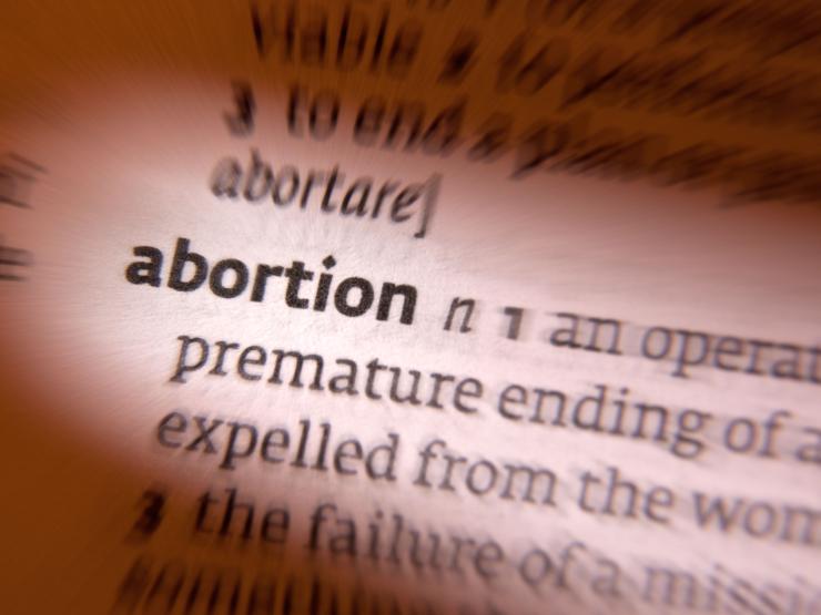 Abortion pic Thursday.jpg
