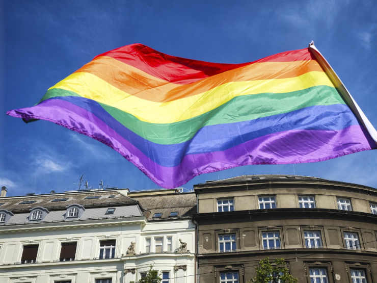 LGBT flag thumb.PNG