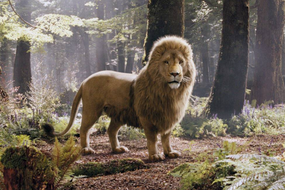 Female Aslan sparks debate, as Meryl Streep considered for Narnia ...