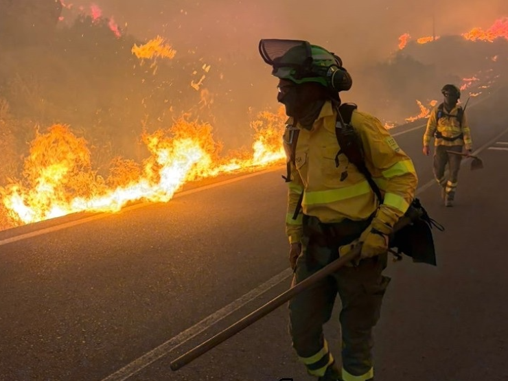 2026-07-14T000000Z_632215303_MT1LTANA000RMCDF9_RTRMADP_3_DEAD-ENVIRONMENT-EUROPE-FIRES-SPAIN-SUMMER-TEMPERATURE.JPG