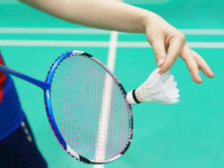 Badminton Alamy.jpg
