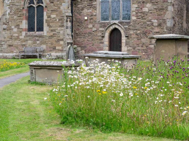Churchyard flowers Church of England garden.jpg