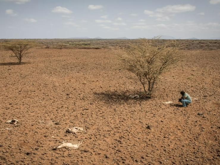 extreme-drought-in-kenya TEARFUND.jpg