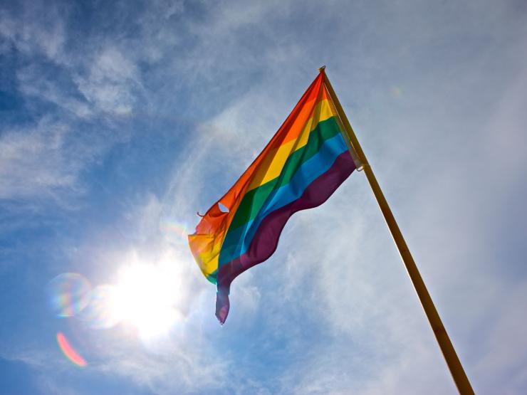 GAY FLAG.jpg