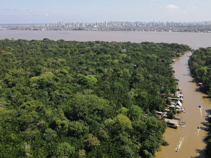 amazon rainforest belem