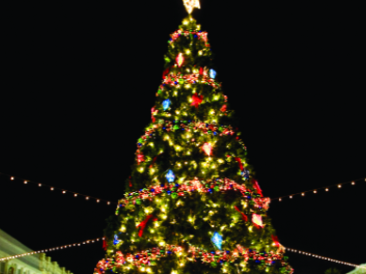 Christmas-tree-main_article_image.png