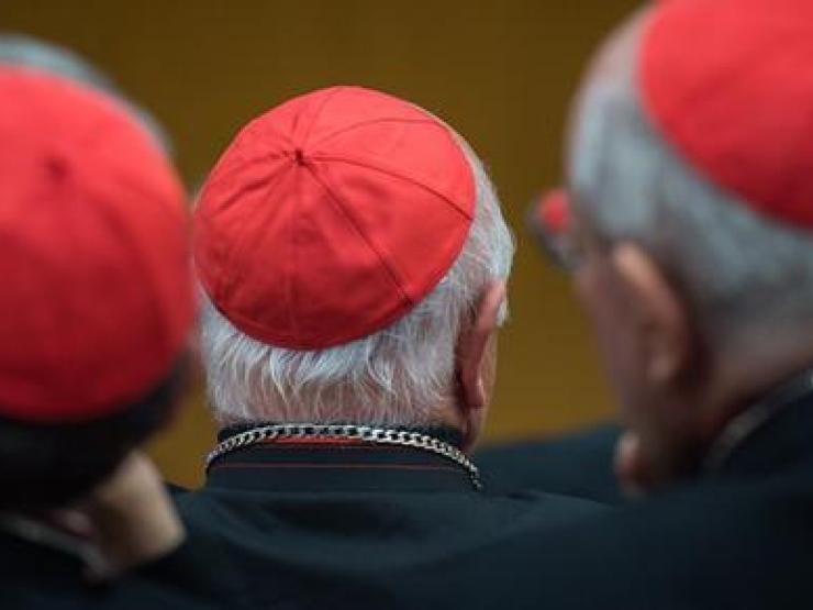 cardinals-red-hats-thumb_article_image.jpg