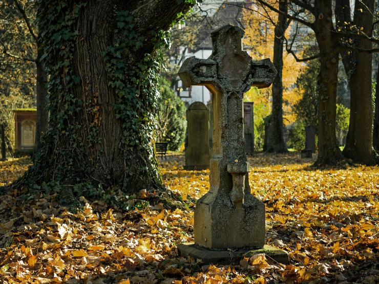 Graveyard Credit Pexels from Pixabay.jpg
