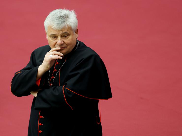 Cardinal pic (2).JPG