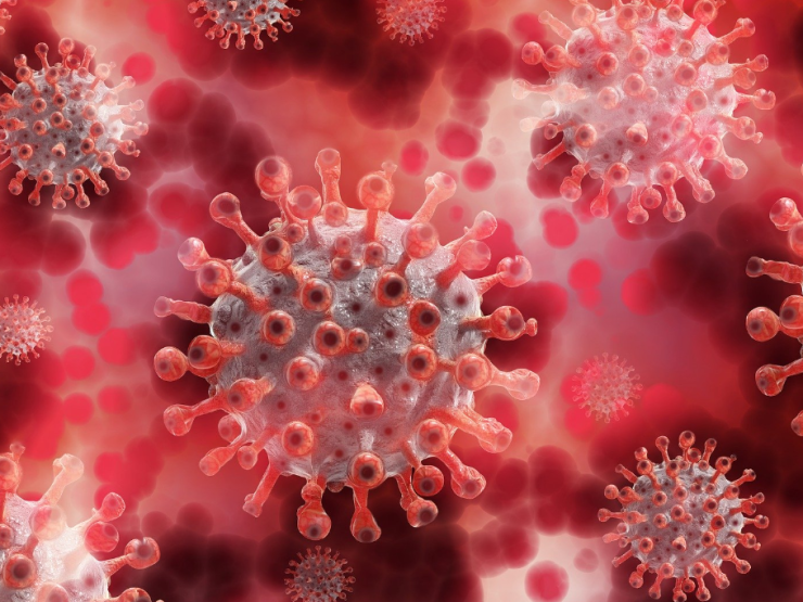 Coronavirus Thumb.PNG