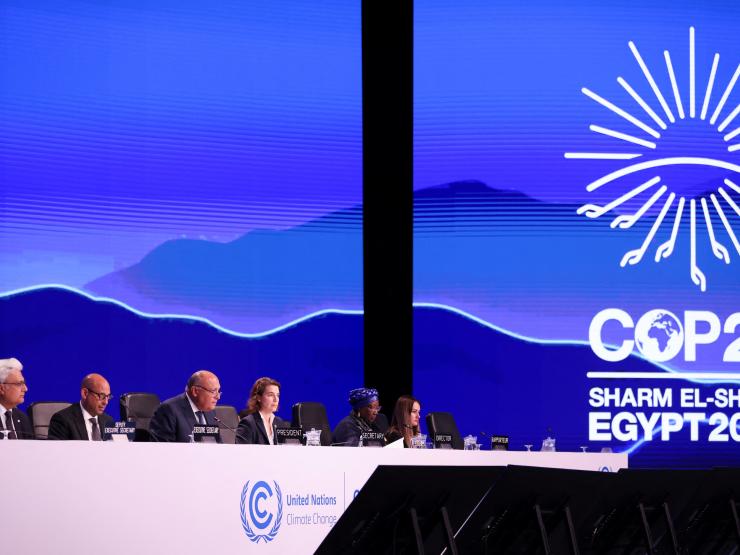 Cop27 panel.JPG