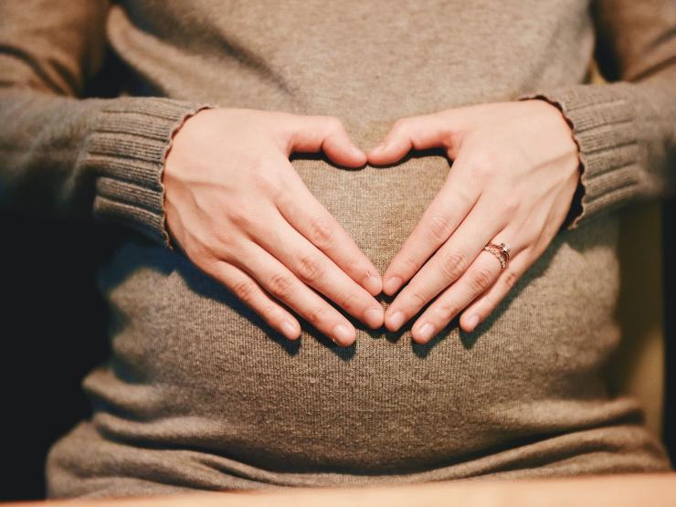 pregnant-2568594_1920.jpg