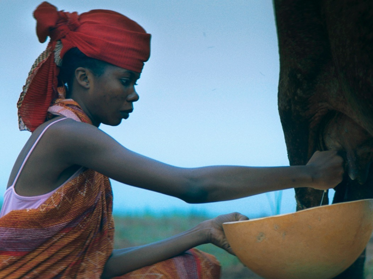 The-Milkmaid.jpg thumb.jpg