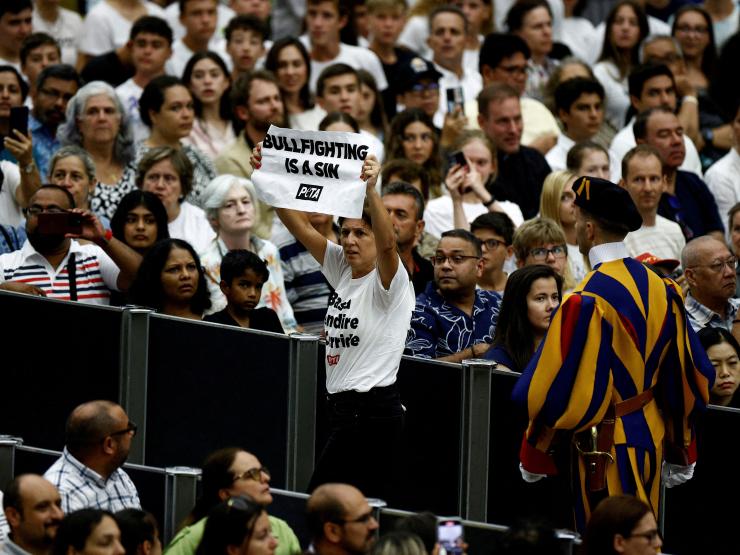 POPE-PROTEST-BULLFIGHTING.JPG