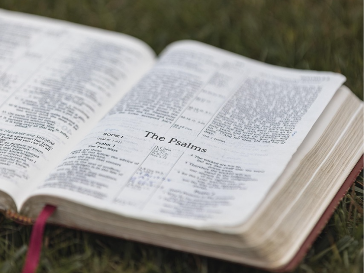 bible-7713234_1280.jpg