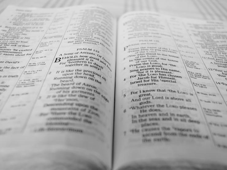 Bible.jpg