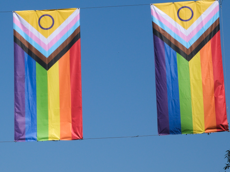 PRIDE FLAG THUMB.JPG