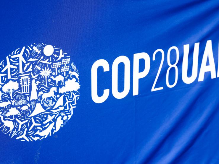 cop 28 PIC.JPG