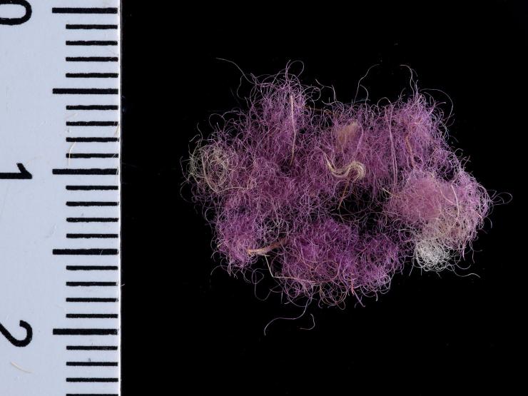 purple fabric.jpg