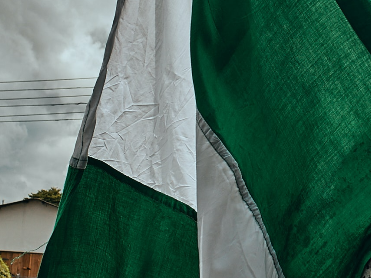 Nigeria flag.JPG