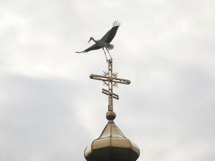 Ukraine church steeple.JPG