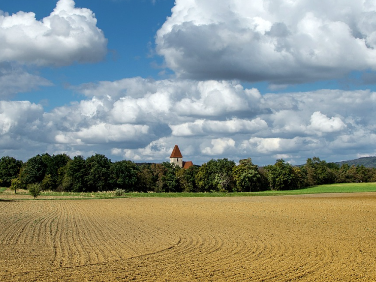 land thumb.jpg