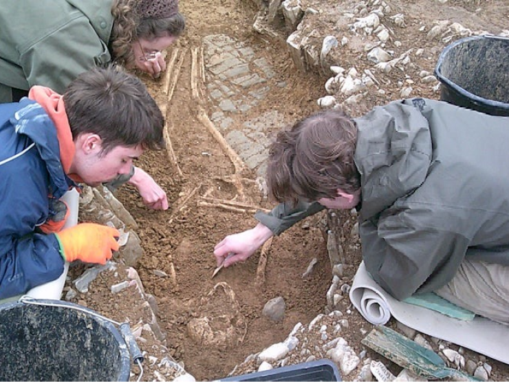 Fonmon-dig-1.jpg