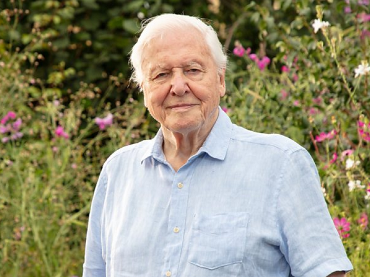 attenborough.png