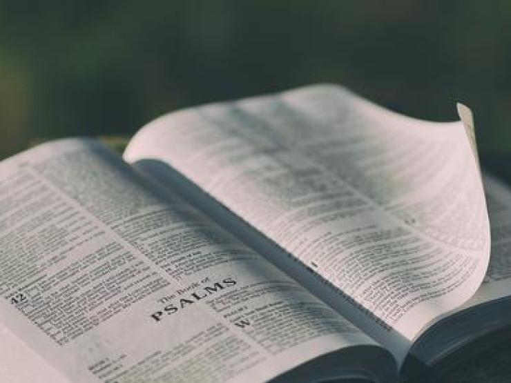 bible3_article_image_article_image.jpg