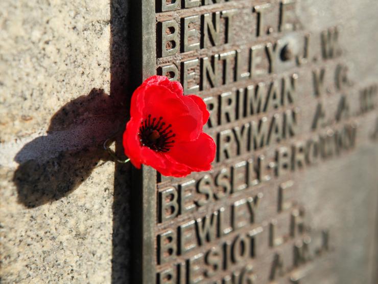 Remembrance Day Poppy.jpg
