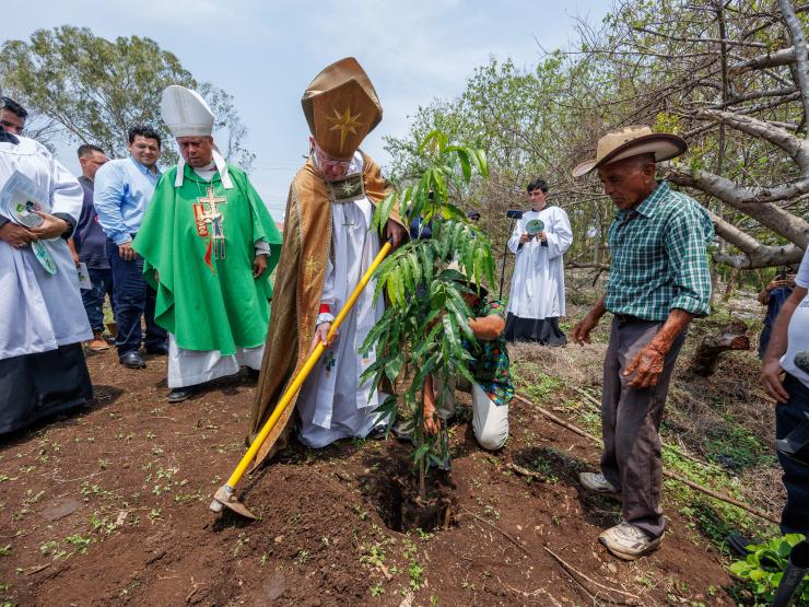 ANGLICAN FOREST EL SALVADOR II (2).jpg