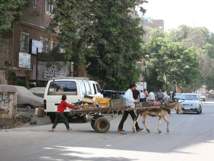 Donkey and trailer crossing street Cairo.jpg