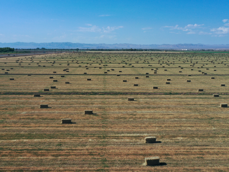 california-drought-reuters-thumb.JPG