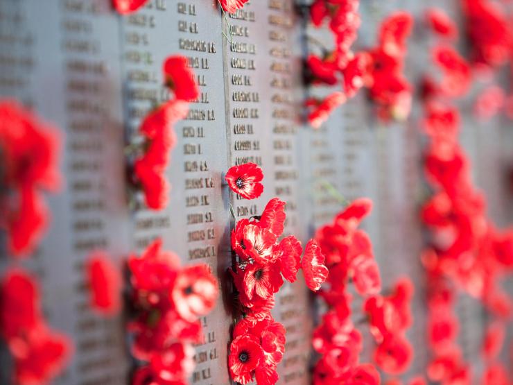 Poppies.jpg