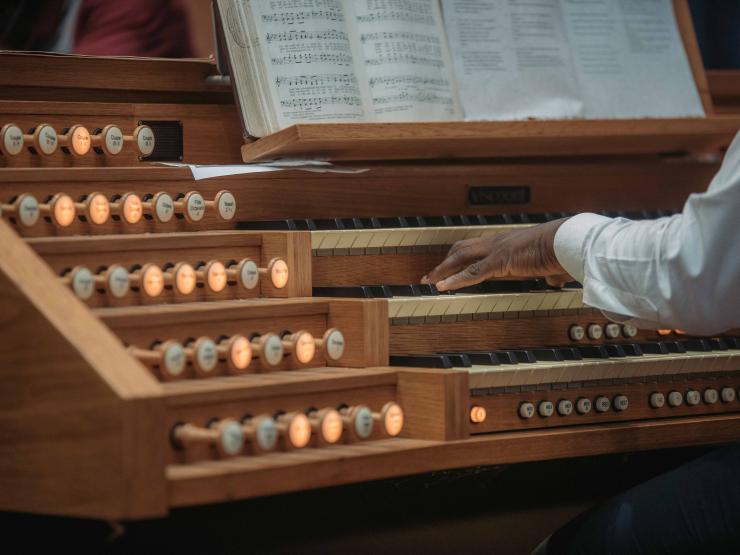 organ stock.jpg