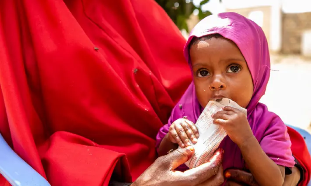 world vision.png