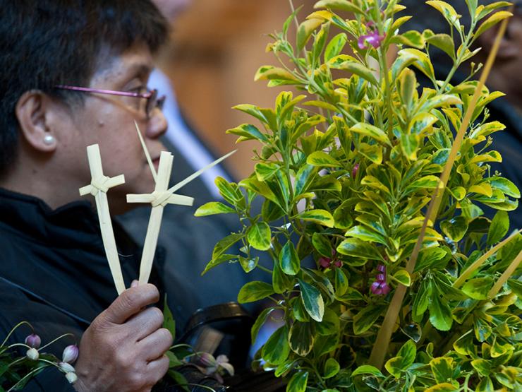 palm-sunday.jpg