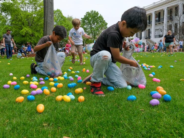 Easter Eggs.JPG
