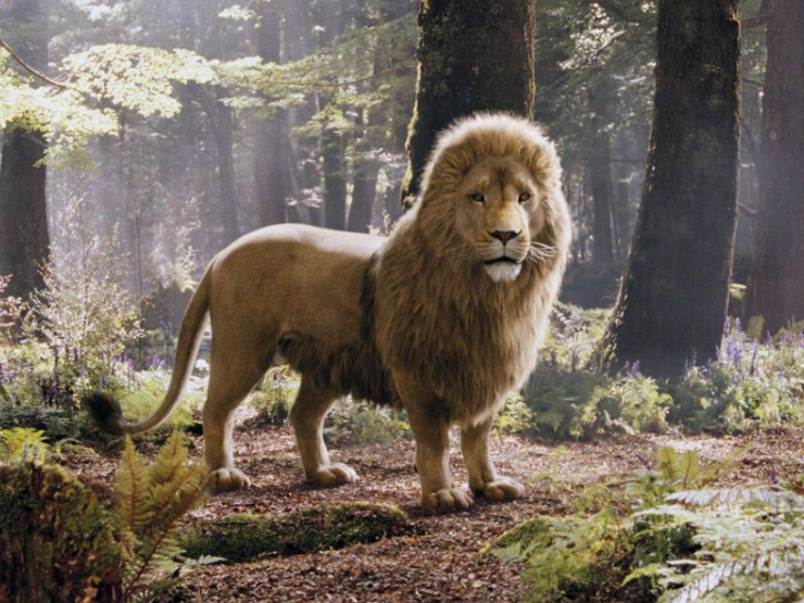 Aslan narnia alamy