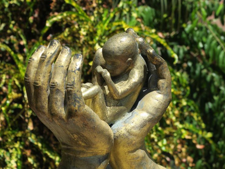abortion-g46124e5a4_1920.jpg