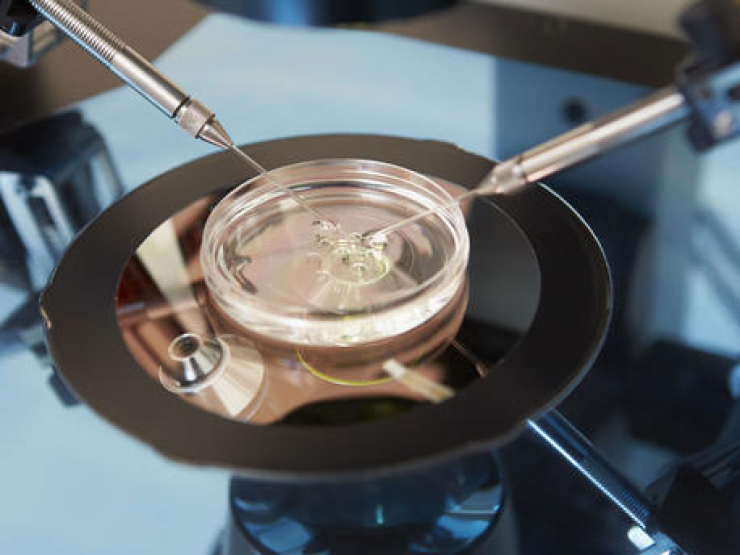 IVF-Main_thumbnail.jpg